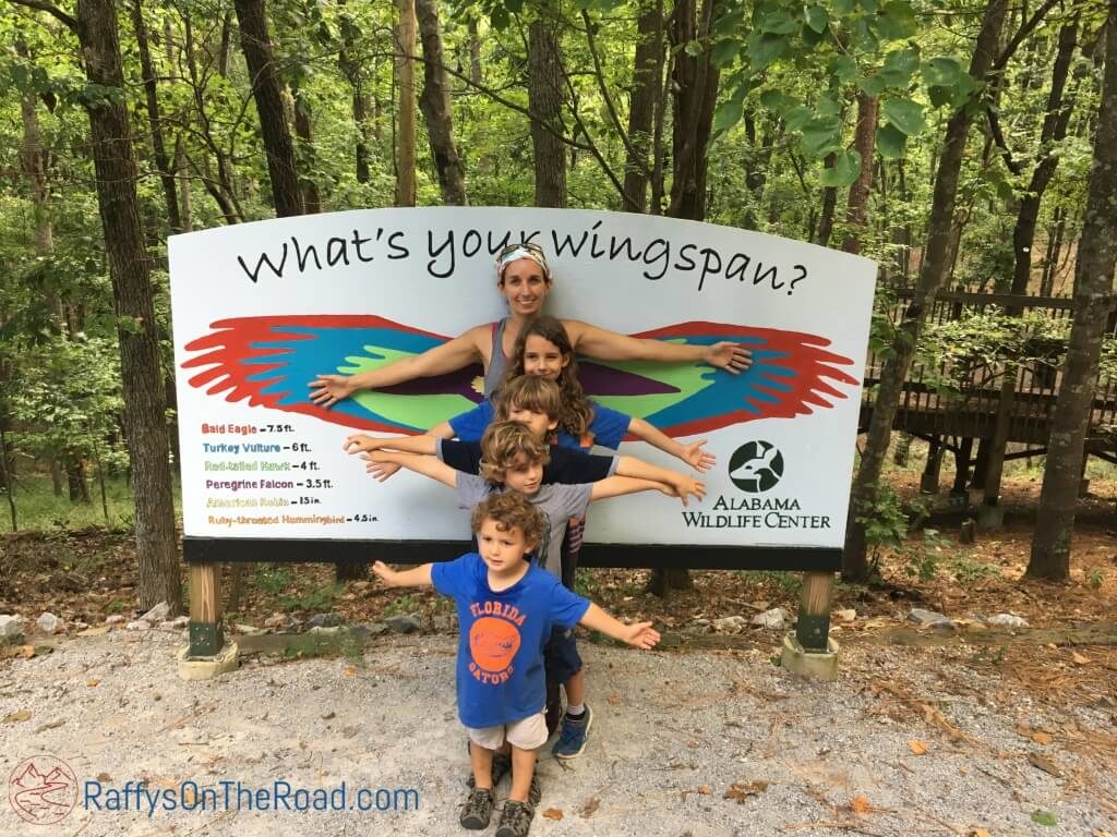 Wingspan at Alabama Wildlife Center