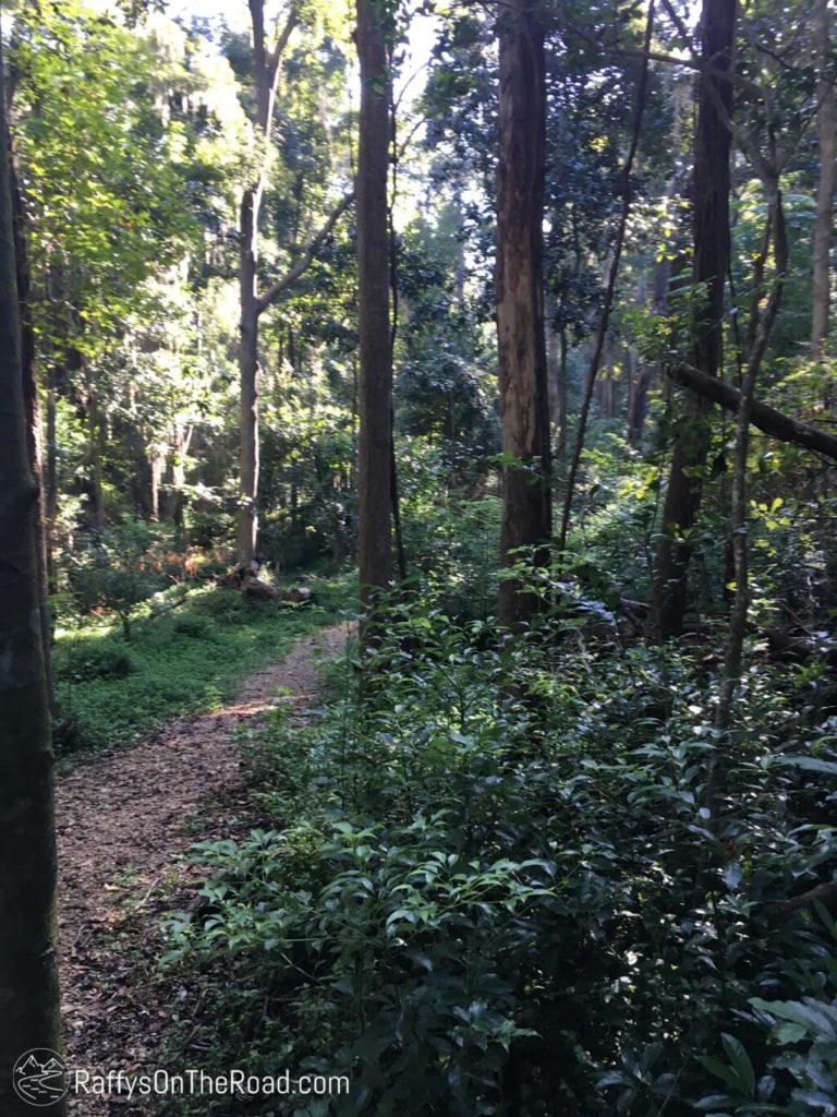 Barnette and Sally Allen Trail Beginning