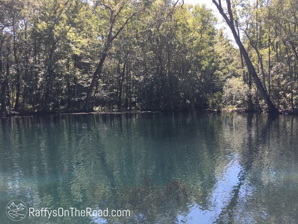 Big Blue Springs, Wacissa River