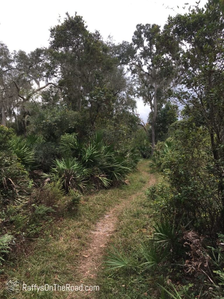 Hontoon Island Open Trail