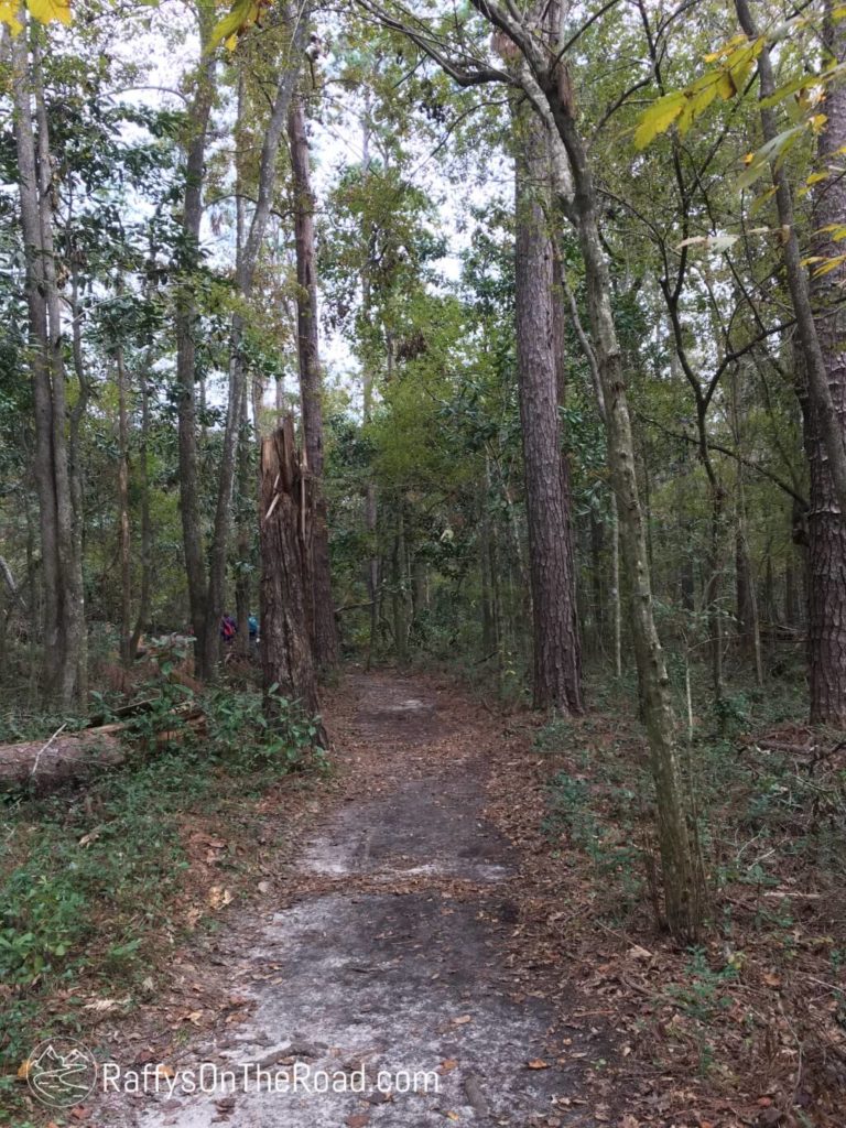 Lake Jackson Mounds Trail