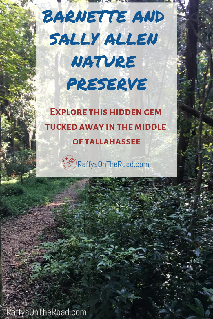 Barnette and Sally Allen Nature Preserve: A Hidden Tallahassee Gem