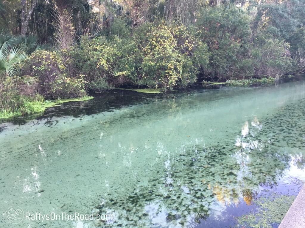 Kelly Park/Rock Springs Raffys on the Road